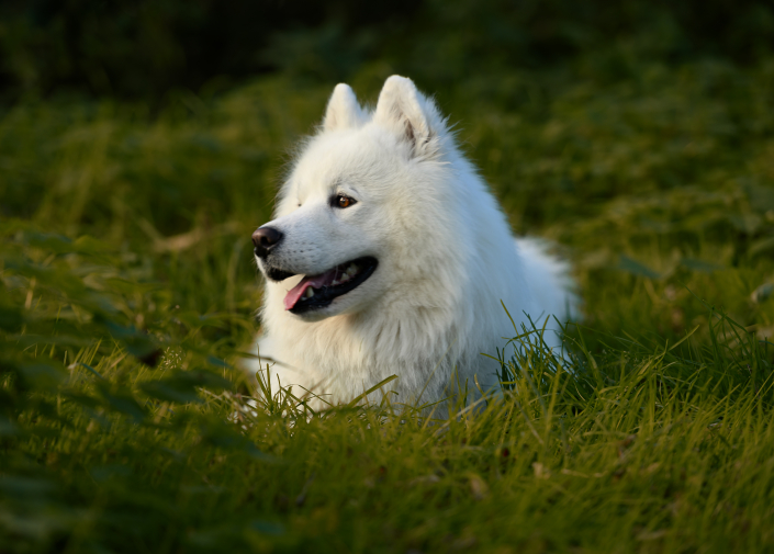 DSC_1212
